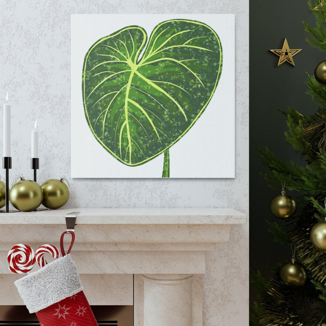 Philodendron Gloriosum Canvas - Stretched Canvas Art Print | Matte Indoor Wall Art - Laura Christine Photography & Design
