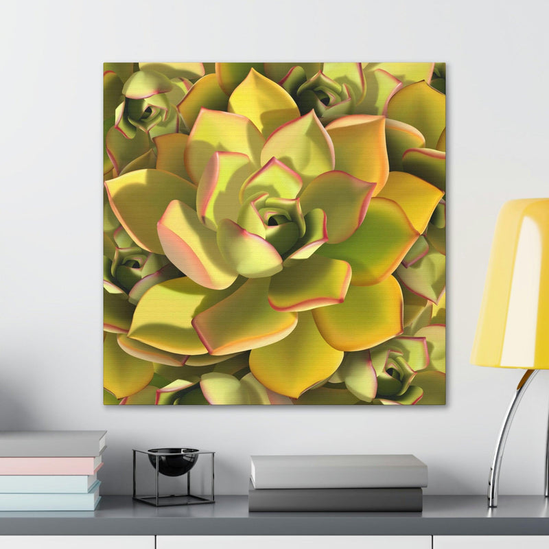 Noble Aeonium Succulent Pattern Canvas, Canvas, Printify, Art & Wall Decor, Canvas, Hanging Hardware, Home & Living, Indoor, Laura Christine Photography & Design, laurachristinedesign.com