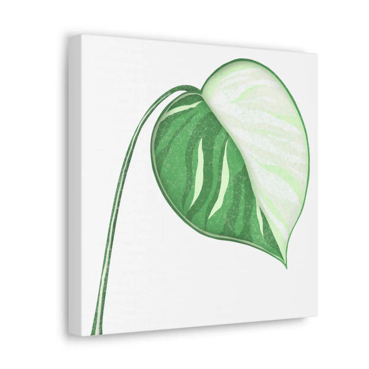 Monstera Albo Canvas | Large Tropical Leaf Artwork - Matte Finish Canvas Art Print - Laura Christine Photography & Design
