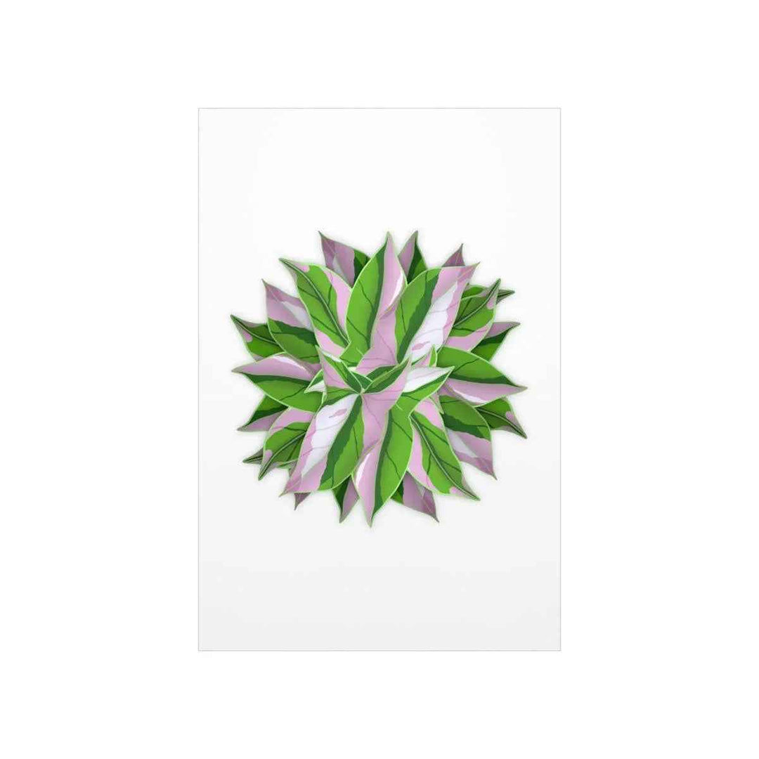 Tricolor Syngonium Print - Botanical Poster on Museum Grade Paper | Archival Ink Unframed