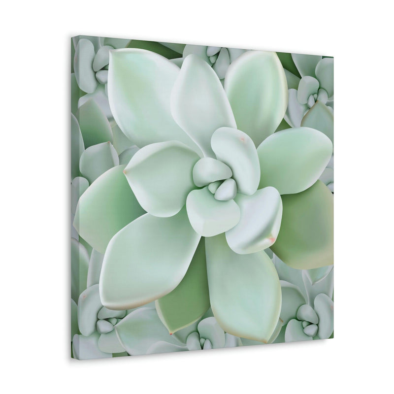 Pachyveria Haagei Succulent Pattern Canvas, Canvas, Printify, Art & Wall Decor, Canvas, Hanging Hardware, Home & Living, Indoor, Laura Christine Photography & Design, laurachristinedesign.com