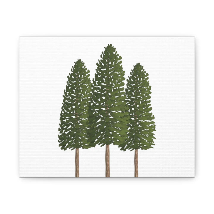Ponderosa Pine Canvas - Large Stretched Cotton Canvas Art Print With Matte Finish