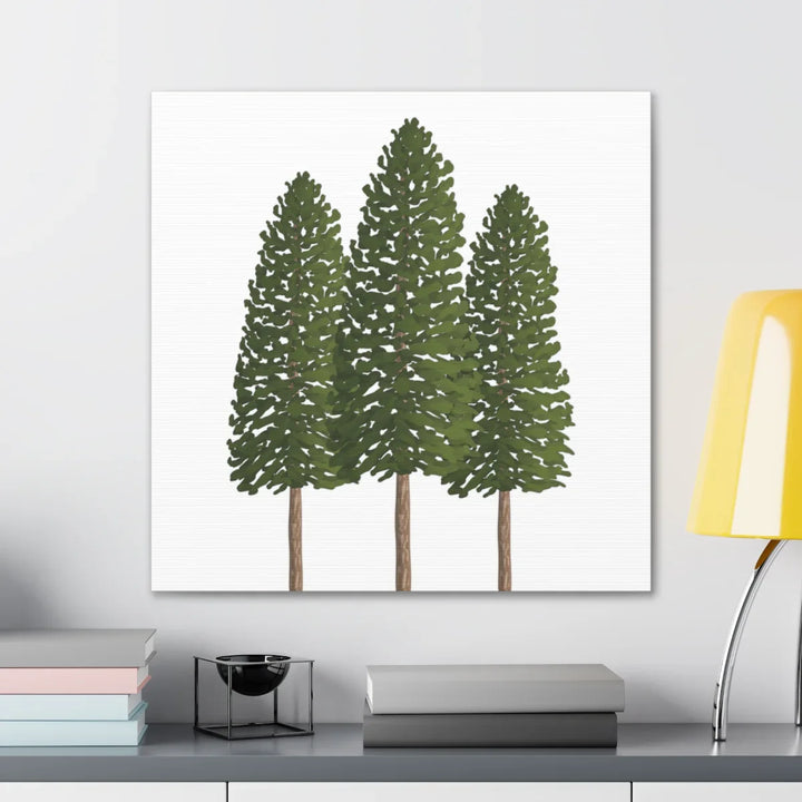 Ponderosa Pine Canvas - Large Stretched Cotton Canvas Art Print With Matte Finish
