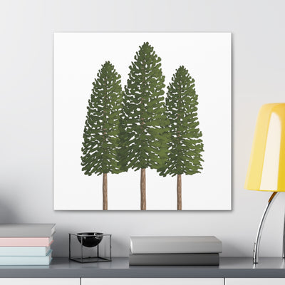 Ponderosa Pine Canvas