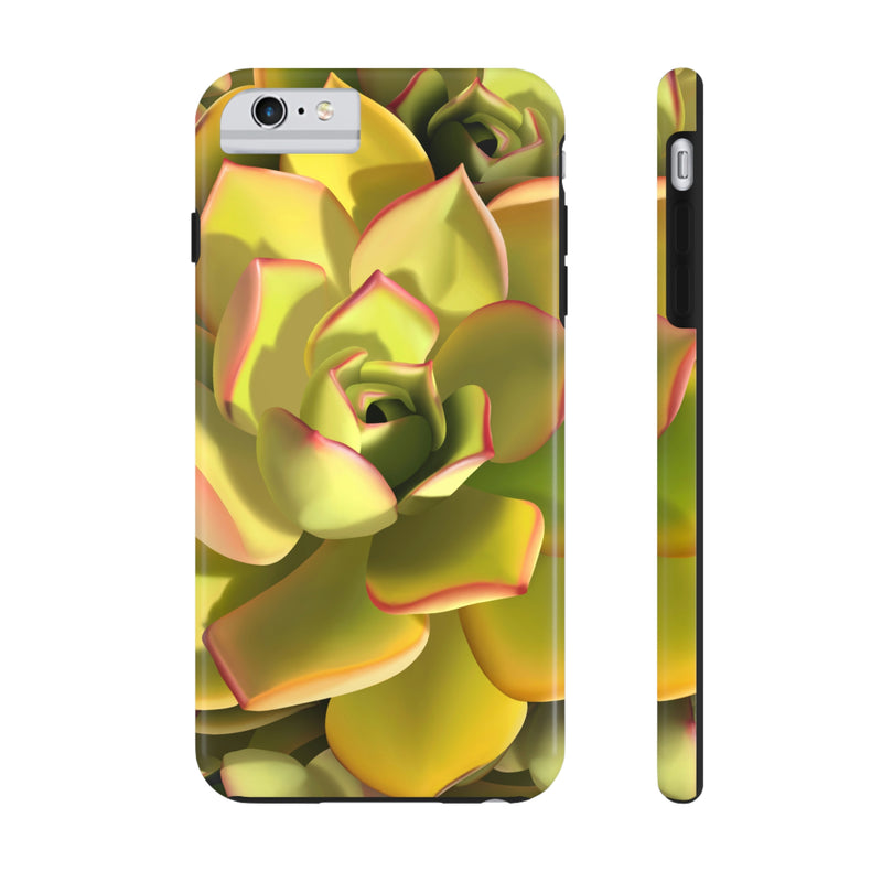 Noble Aeonium Succulent Phone Case, Phone Case, Printify, Accessories, Glossy, iPhone Cases, Matte, Phone accessory, Phone Cases, Samsung Cases, Laura Christine Photography & Design, laurachristinedesign.com