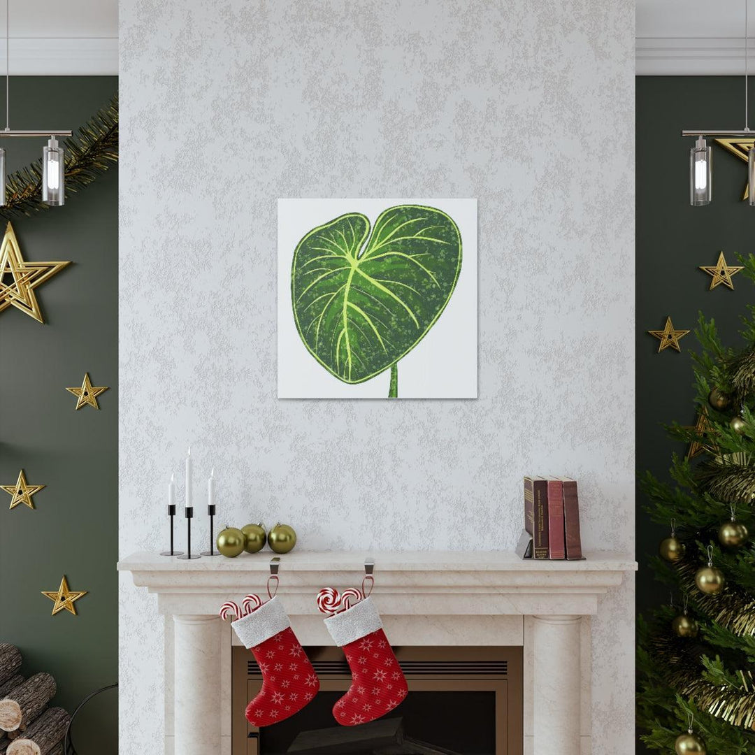 Philodendron Gloriosum Canvas - Stretched Canvas Art Print | Matte Indoor Wall Art - Laura Christine Photography & Design