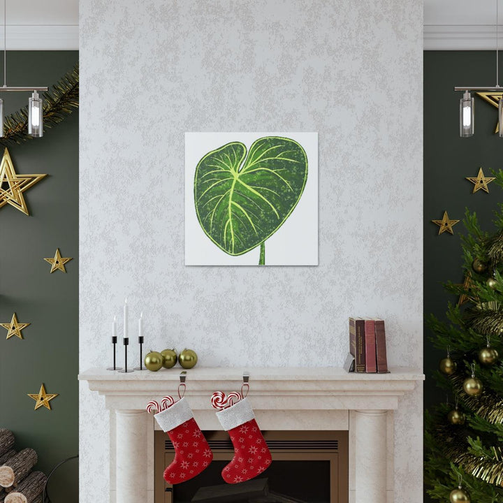 Philodendron Gloriosum Canvas - Stretched Canvas Art Print | Matte Indoor Wall Art - Laura Christine Photography & Design