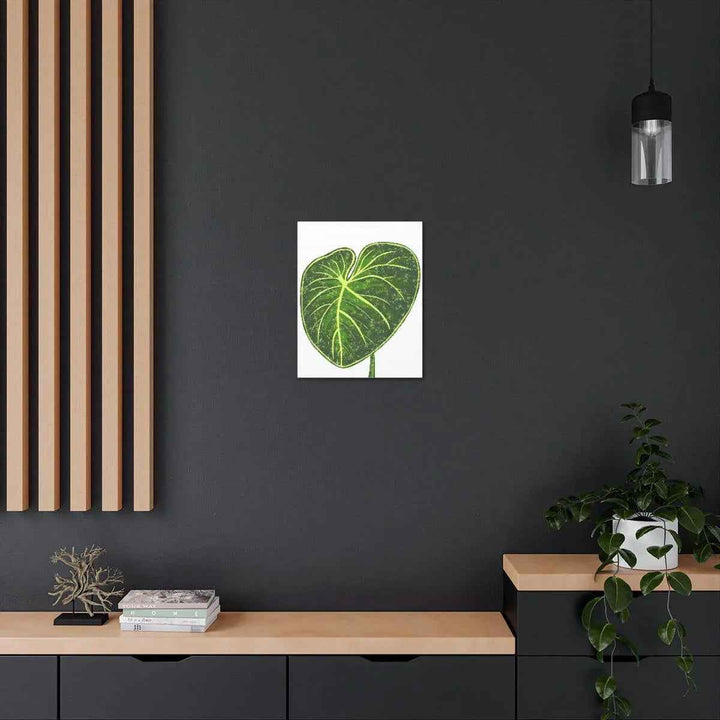 Philodendron Gloriosum Canvas - Stretched Canvas Art Print | Matte Indoor Wall Art