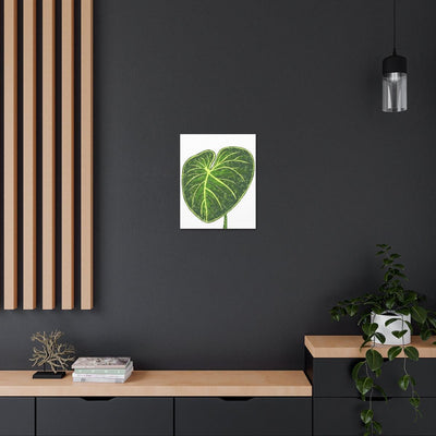 Philodendron Gloriosum Canvas, Canvas, Laura Christine Photography & Design, Art & Wall Decor, Canvas, Hanging Hardware, Home & Living, Indoor, Laura Christine Photography & Design, laurachristinedesign.com