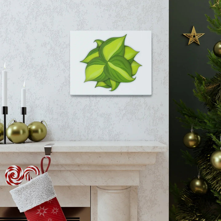 Philodendron Brasil Canvas - Botanical Canvas Art Print With Matte Finish & Durable Hanging - Laura Christine Photography & Design