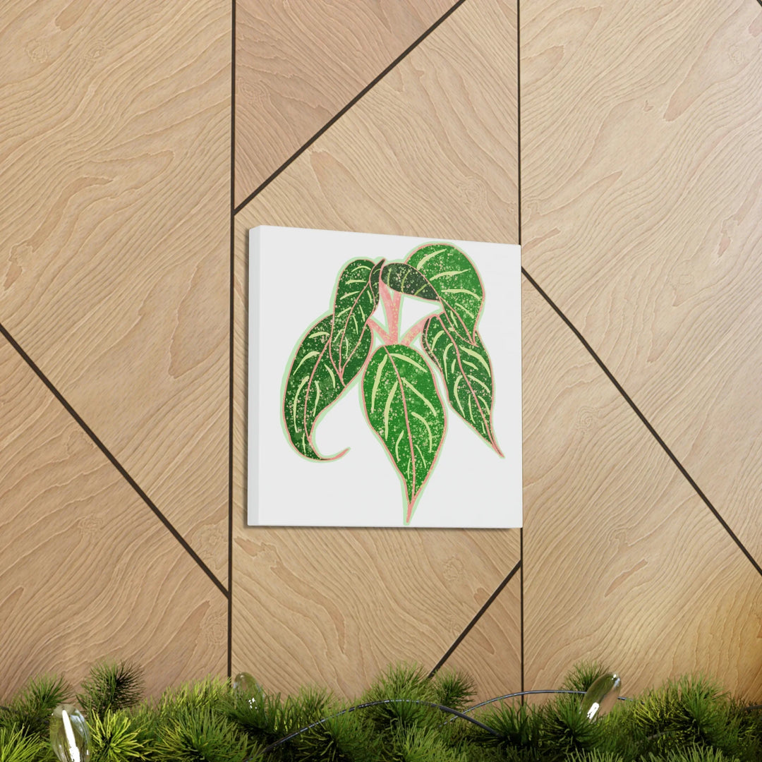 Aglaonema Plant Canvas | Sparkling Plant Artwork - Colorfast Canvas Art Print Decor