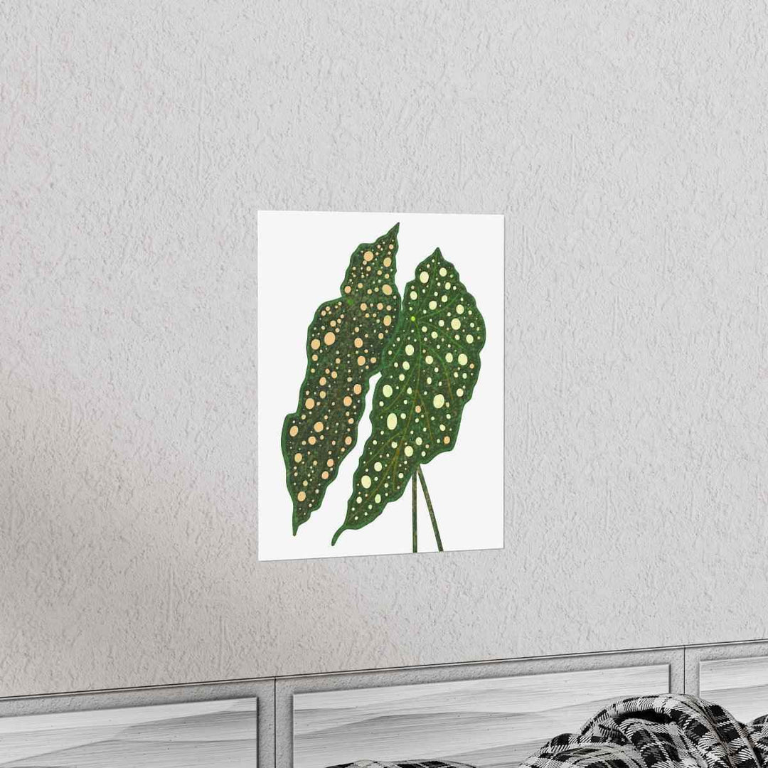 Begonia Maculata Print - Botanical Wall Art on Museum Grade Paper | Matte Finish Unframed