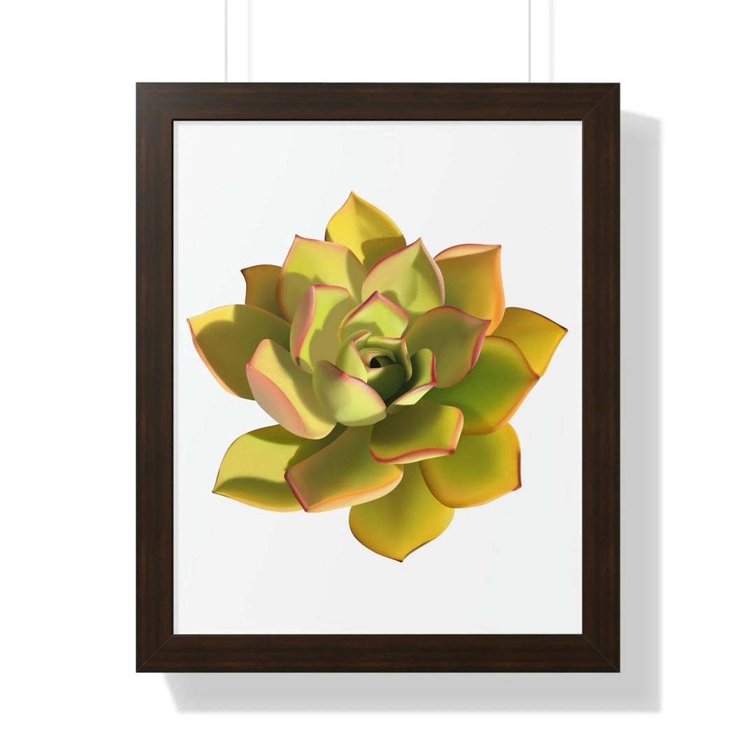 Noble Aeonium Succulent Framed Print, Poster, Printify, Framed, Home & Living, Indoor, Paper, Posters, Laura Christine Photography & Design, laurachristinedesign.com