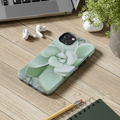 Pachyveria Haagei Succulent Phone Case, Phone Case, Printify, Accessories, Glossy, iPhone Cases, Matte, Phone accessory, Phone Cases, Samsung Cases, Laura Christine Photography & Design, laurachristinedesign.com