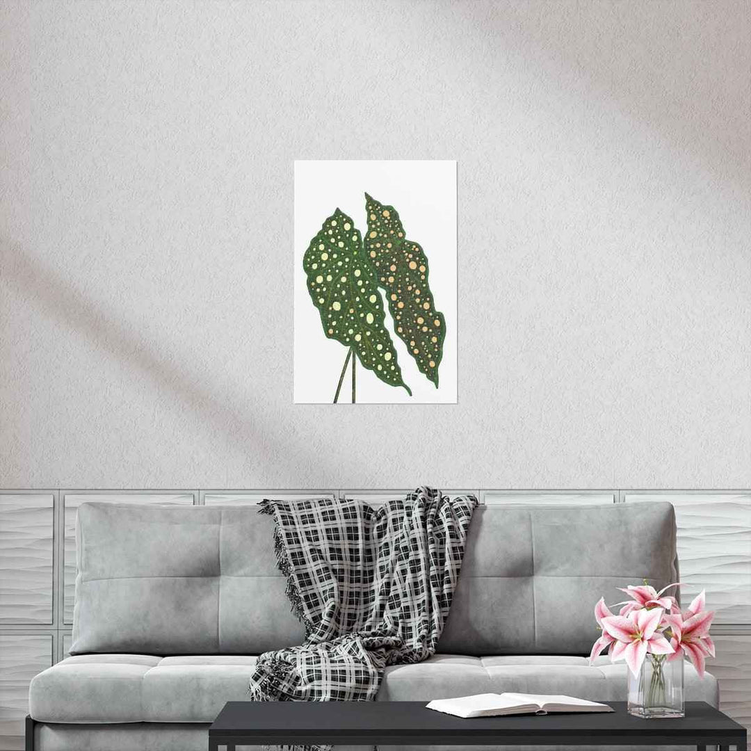 Begonia Maculata Print - Botanical Wall Art on Museum Grade Paper | Matte Finish Unframed