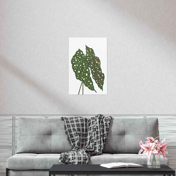 Begonia Maculata Print - Botanical Wall Art on Museum Grade Paper | Matte Finish Unframed