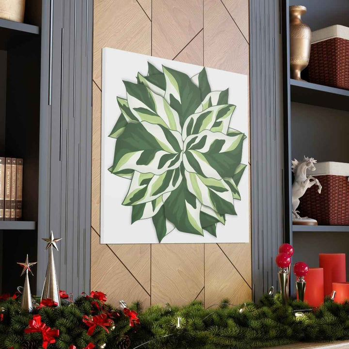 Calathea White Fusion Canvas | Indoor Wall Art - Matte Finish Botanical Canvas Art Print