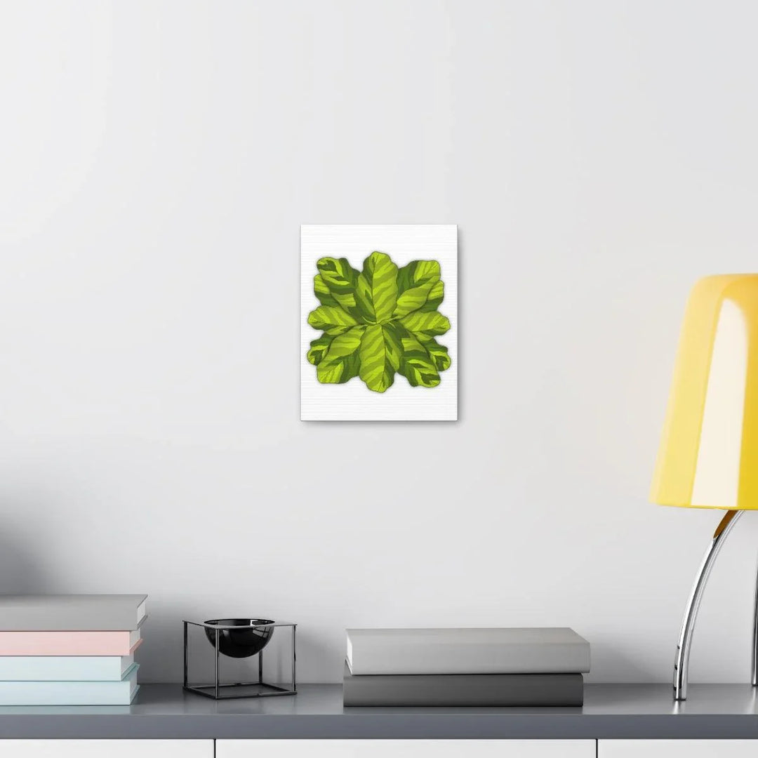 Calathea Yellow Fusion Canvas – Botanical Canvas Print With Unique Leaf Pattern Art - Laura Christine Photography & Design