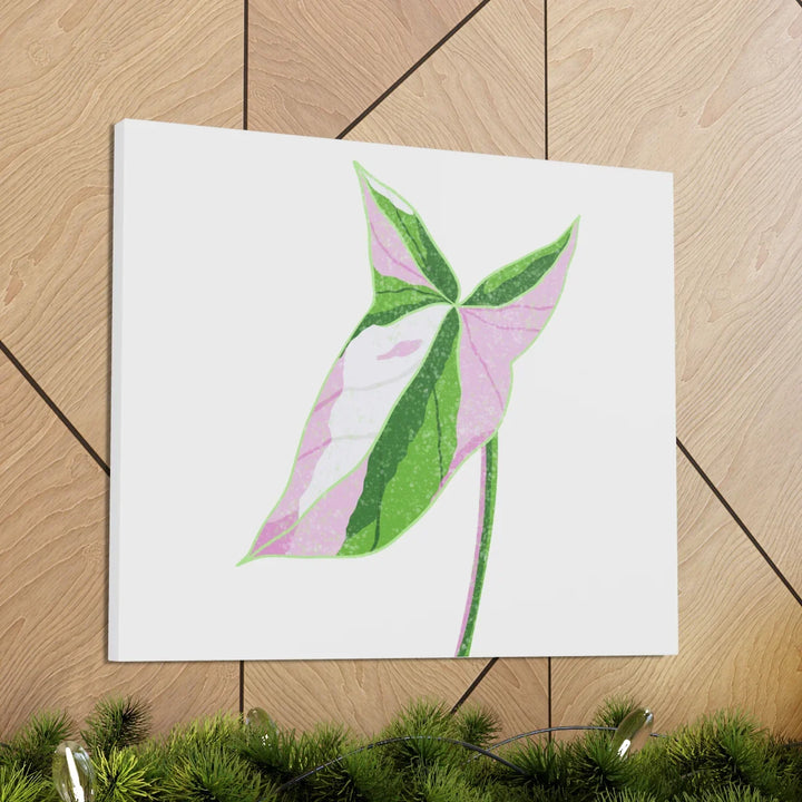Syngonium Tricolor Canvas | Botanical Canvas Art Print With Matte Finish - Laura Christine Photography & Design