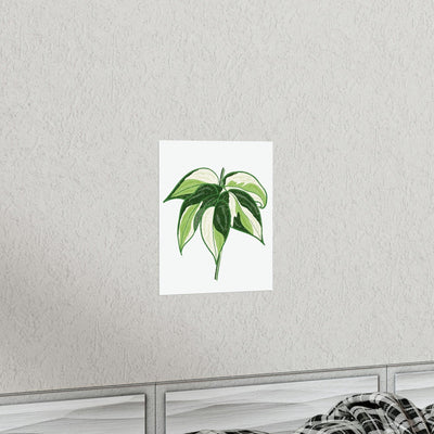 Philodendron 'Cream Splash' Print, Poster, Printify, Back to School, Home & Living, Indoor, Matte, Paper, Posters, Valentine's Day promotion, Laura Christine Photography & Design, laurachristinedesign.com