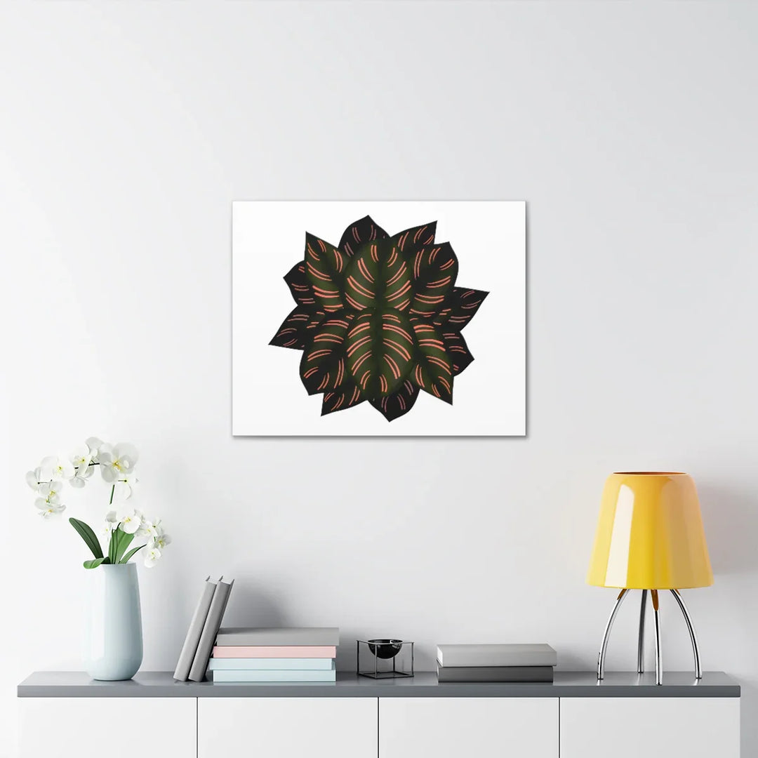 Calathea Pinstripe Canvas – Botanical Canvas Art Print | Matte Finish Wall Decor