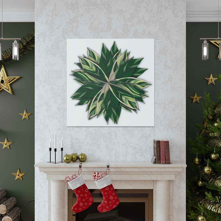 Stromanthe Triostar Canvas - Pastel Stripe Canvas Art Print With Vivid Color Artwork