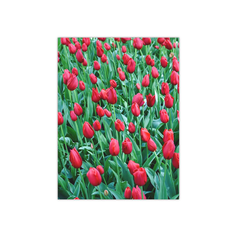 Red dynasty tulips - Photo Poster, Poster, Printify, Art & Wall Decor, Home & Living, Paper, Poster, Posters, Laura Christine Photography & Design, laurachristinedesign.com
