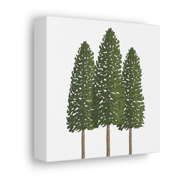 Ponderosa Pine Canvas - Large Stretched Cotton Canvas Art Print With Matte Finish