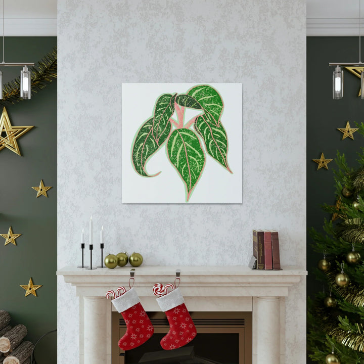 Aglaonema Plant Canvas | Sparkling Plant Artwork - Colorfast Canvas Art Print Decor