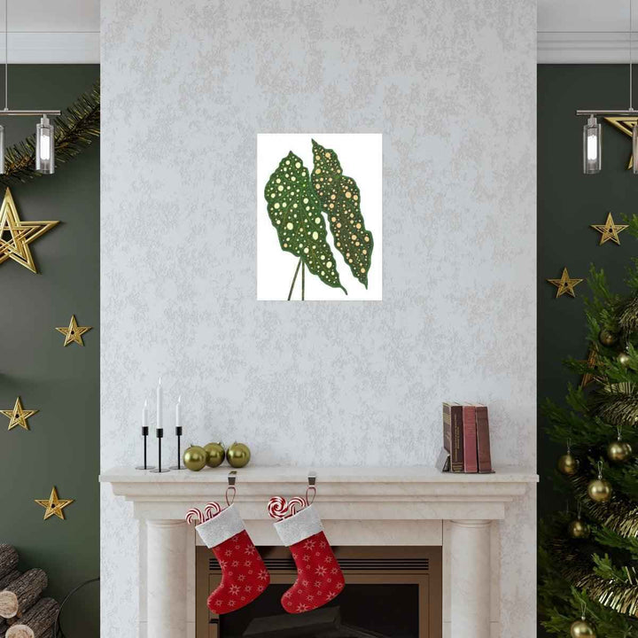 Begonia Maculata Print - Botanical Wall Art on Museum Grade Paper | Matte Finish Unframed