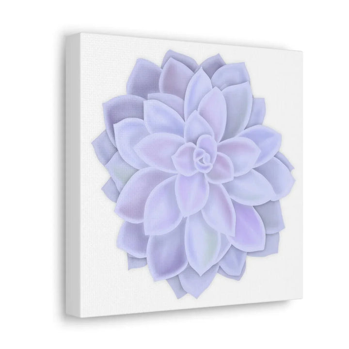 Graptopetalum 'Murasaki' Succulent Canvas, Canvas, Laura Christine Photography & Design, Art & Wall Decor, Canvas, Hanging Hardware, Home & Living, Indoor, Laura Christine Photography & Design, laurachristinedesign.com