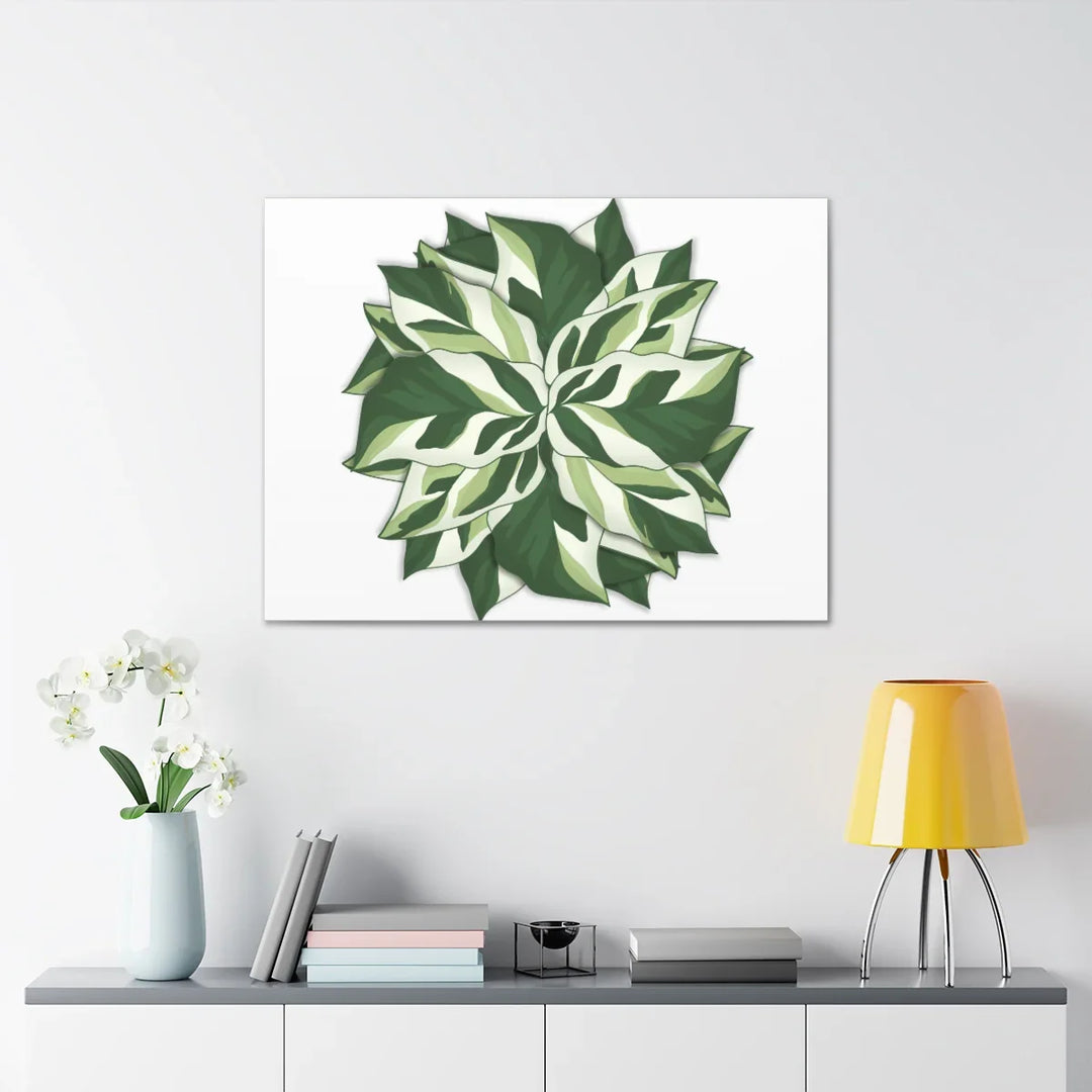 Calathea White Fusion Canvas | Indoor Wall Art - Matte Finish Botanical Canvas Art Print - Laura Christine Photography & Design