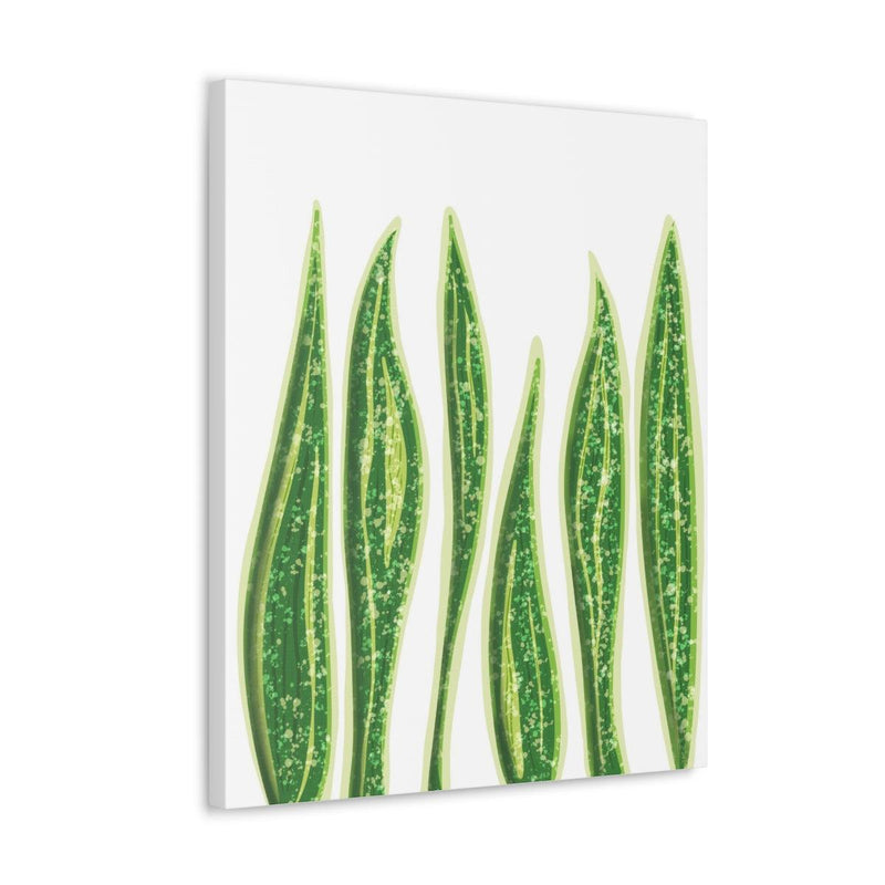 Snake Plant Canvas, Canvas, Laura Christine Photography & Design, Art & Wall Decor, Canvas, Hanging Hardware, Home & Living, Indoor, Laura Christine Photography & Design, laurachristinedesign.com