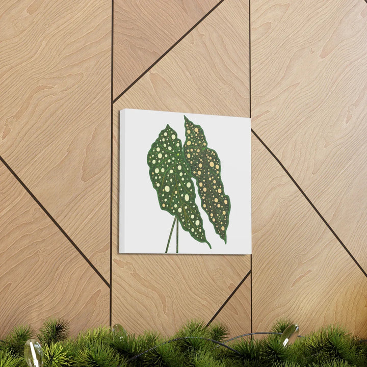 Begonia Maculata Canvas | Premium Canvas Art Print - Matte Finish, Durable Wall Decor - Laura Christine Photography & Design