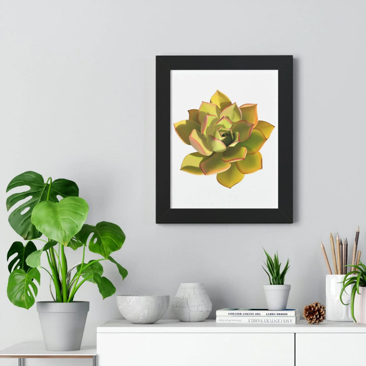 Noble Aeonium Succulent Framed Print, Poster, Printify, Framed, Home & Living, Indoor, Paper, Posters, Laura Christine Photography & Design, laurachristinedesign.com