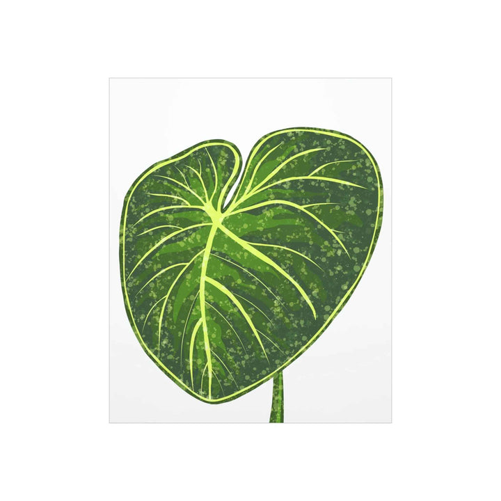 Philodendron Gloriosum Print Botanical Wall Art – Tropical Leaf Poster on Museum-Grade Paper Unframed