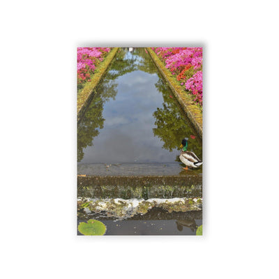 Duck at the tulip garden - Postcard, 10-pack, Paper products, Printify, Back to School, Home & Living, Indoor, Matte, Paper, Posters, Laura Christine Photography & Design, laurachristinedesign.com