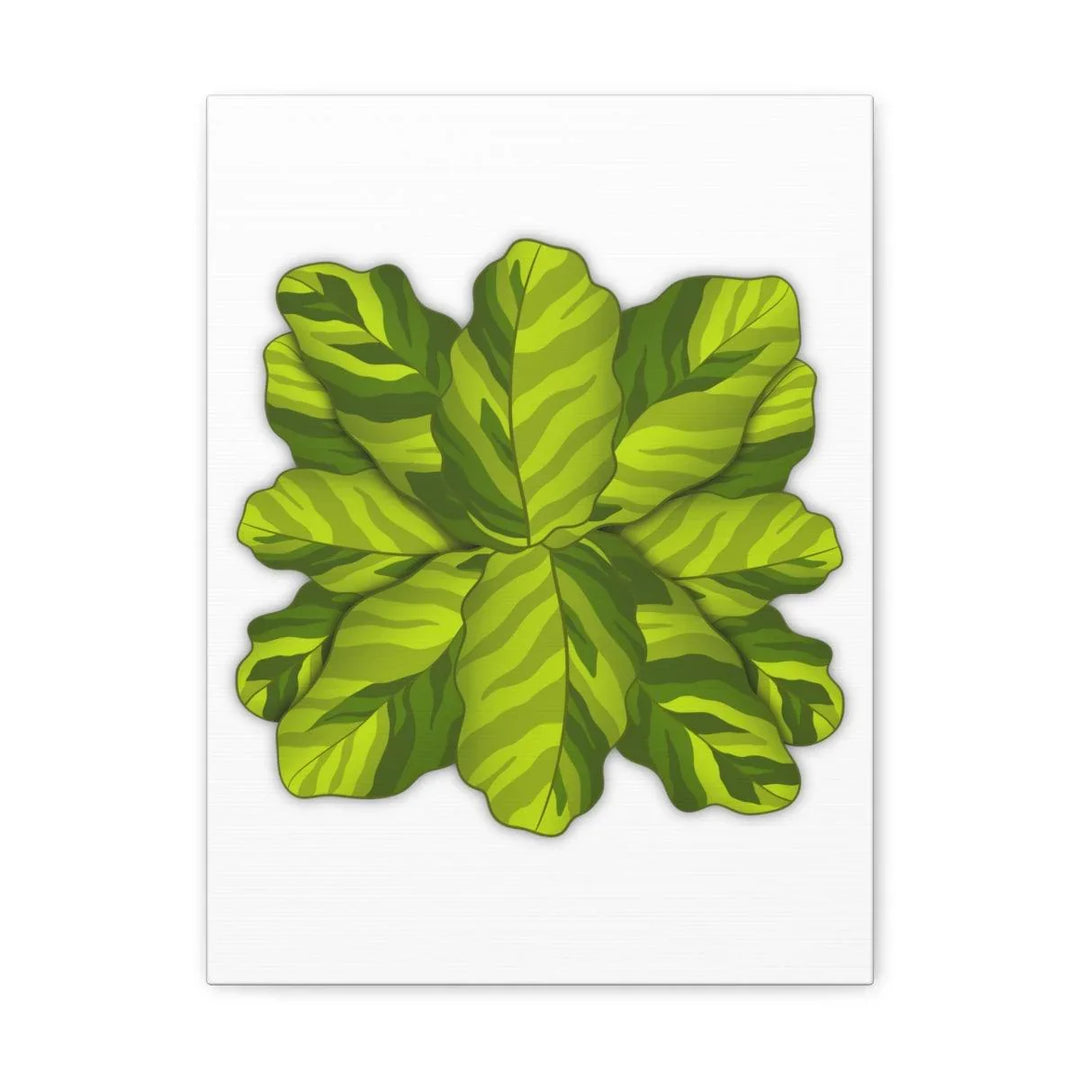 Calathea Yellow Fusion Canvas – Botanical Canvas Print With Unique Leaf Pattern Art - Laura Christine Photography & Design