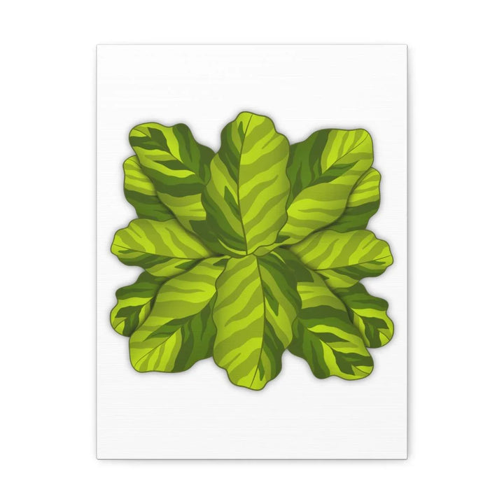 Calathea Yellow Fusion Canvas – Botanical Canvas Print With Unique Leaf Pattern Art - Laura Christine Photography & Design