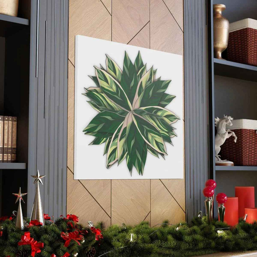 Stromanthe Triostar Canvas - Pastel Stripe Canvas Art Print With Vivid Color Artwork