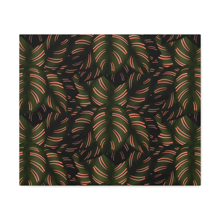 Calathea Pinstripe Canvas – Botanical Canvas Art Print | Matte Finish Wall Decor