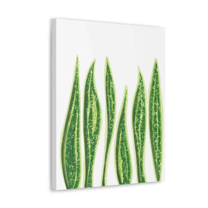 Snake Plant Canvas | Botanical Canvas Decor - Matte Finish Artwork for Living Room