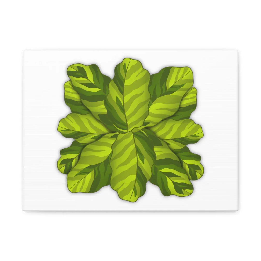 Calathea Yellow Fusion Canvas – Botanical Canvas Print With Unique Leaf Pattern Art - Laura Christine Photography & Design