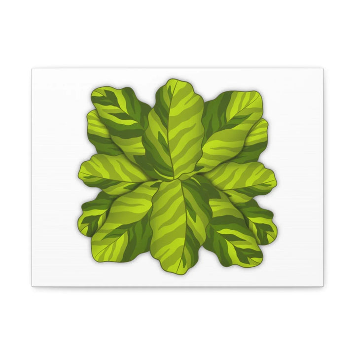 Calathea Yellow Fusion Canvas – Botanical Canvas Print With Unique Leaf Pattern Art - Laura Christine Photography & Design