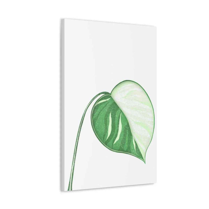 Monstera Albo Canvas | Large Tropical Leaf Artwork - Matte Finish Canvas Art Print