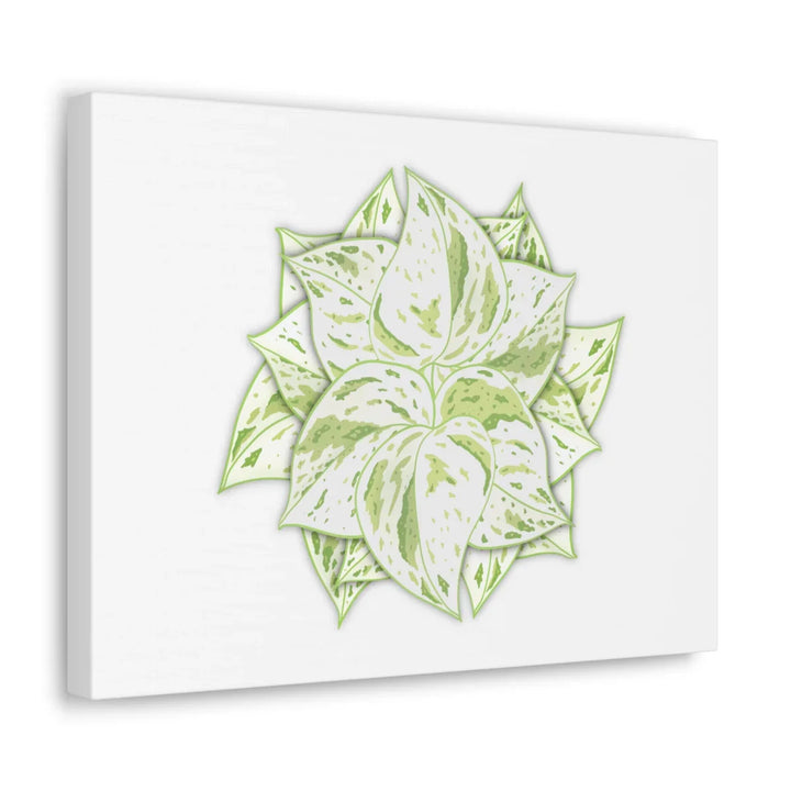 Snow Queen Pothos Canvas – Variegated Leaf Canvas Art Print | Durable Cotton - Laura Christine Photography & Design