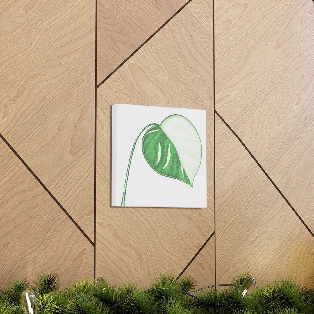 Monstera Albo Canvas | Large Tropical Leaf Artwork - Matte Finish Canvas Art Print - Laura Christine Photography & Design