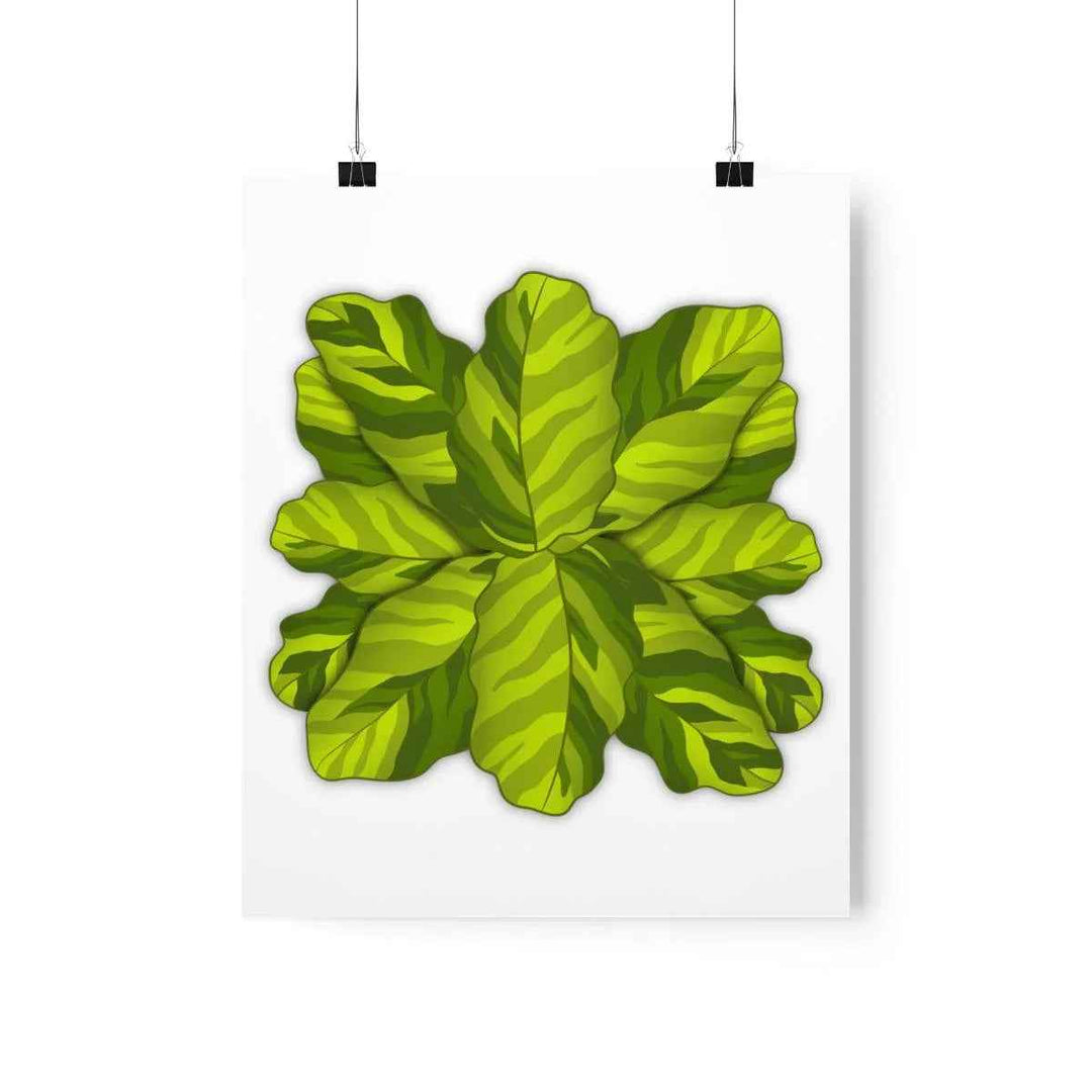 Calathea Yellow Fusion Print – Botanical Wall Art on Museum-Grade Paper Unframed