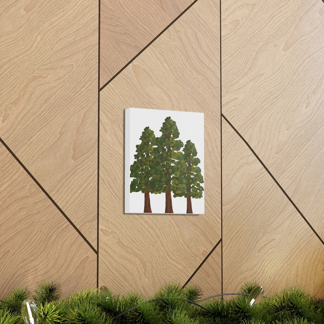 Coastal Redwoods Canvas - Stretched Cotton Canvas Art Print | Matte Finish Wall Hanging Artwork