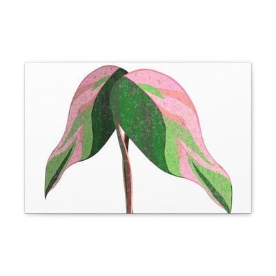 Pink Princess Philodendron Canvas, Canvas, Laura Christine Photography & Design, Art & Wall Decor, Canvas, Hanging Hardware, Home & Living, Indoor, Laura Christine Photography & Design, laurachristinedesign.com